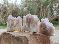 Natural Sugar Amethyst Clusters x 6 From Zambia
