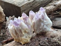 Natural Sugar Amethyst Clusters x 6 From Zambia