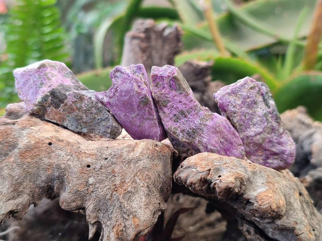 Natural Stichtite Cobbed Specimens x 70 From Barberton, South Africa - Toprock Gemstones and Minerals 
