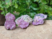 Natural Stichtite Cobbed Specimens x 70 From Barberton, South Africa