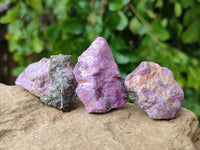 Natural Stichtite Cobbed Specimens x 70 From Barberton, South Africa