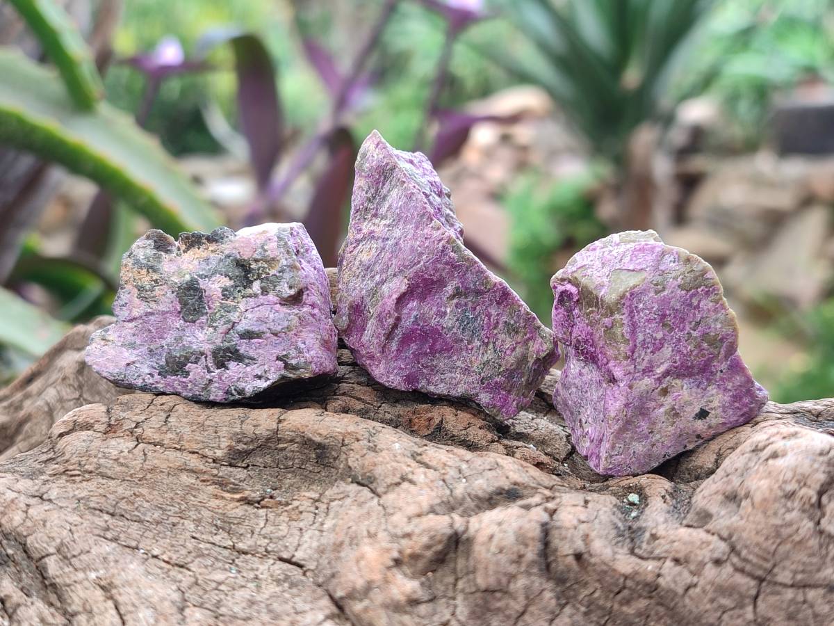 Natural Stichtite Cobbed Specimens x 70 From Barberton, South Africa - Toprock Gemstones and Minerals 