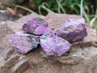 Natural Stichtite Cobbed Specimens x 70 From Barberton, South Africa