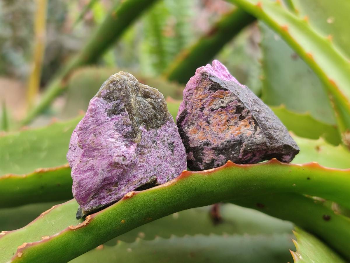 Natural Stichtite Cobbed Specimens x 70 From Barberton, South Africa - Toprock Gemstones and Minerals 