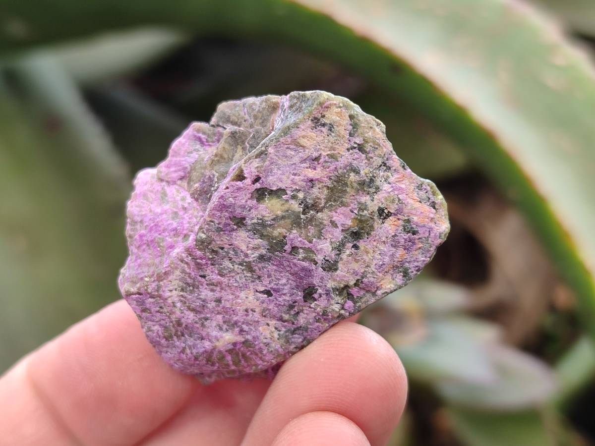 Natural Stichtite Cobbed Specimens x 70 From Barberton, South Africa - Toprock Gemstones and Minerals 