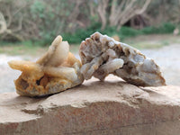 Natural Golden Limonite Spirit Quartz Crystals x 13 From Boekenhouthoek, South Africa