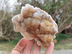 Natural Golden Limonite Spirit Quartz Crystals x 13 From Boekenhouthoek, South Africa - Toprock Gemstones and Minerals 
