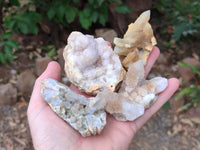 Natural Golden Limonite Spirit Quartz Crystals x 13 From Boekenhouthoek, South Africa