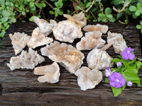 Natural Golden Limonite Spirit Quartz Crystals x 13 From Boekenhouthoek, South Africa