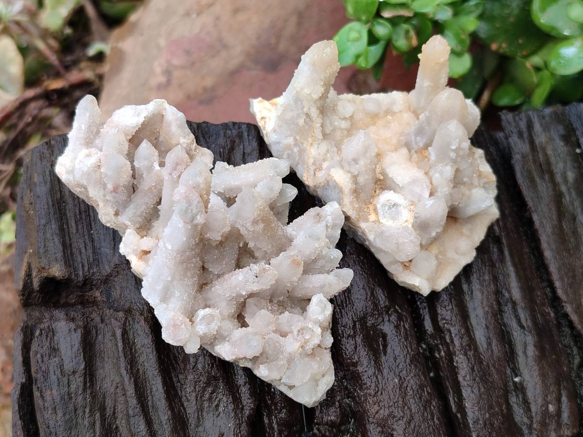Natural Golden Limonite Spirit Quartz Crystals x 13 From Boekenhouthoek, South Africa - Toprock Gemstones and Minerals 