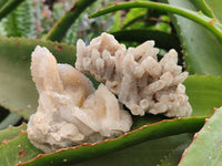 Natural Golden Limonite Spirit Quartz Crystals x 13 From Boekenhouthoek, South Africa