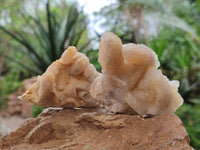 Natural Golden Limonite Spirit Quartz Crystals x 13 From Boekenhouthoek, South Africa