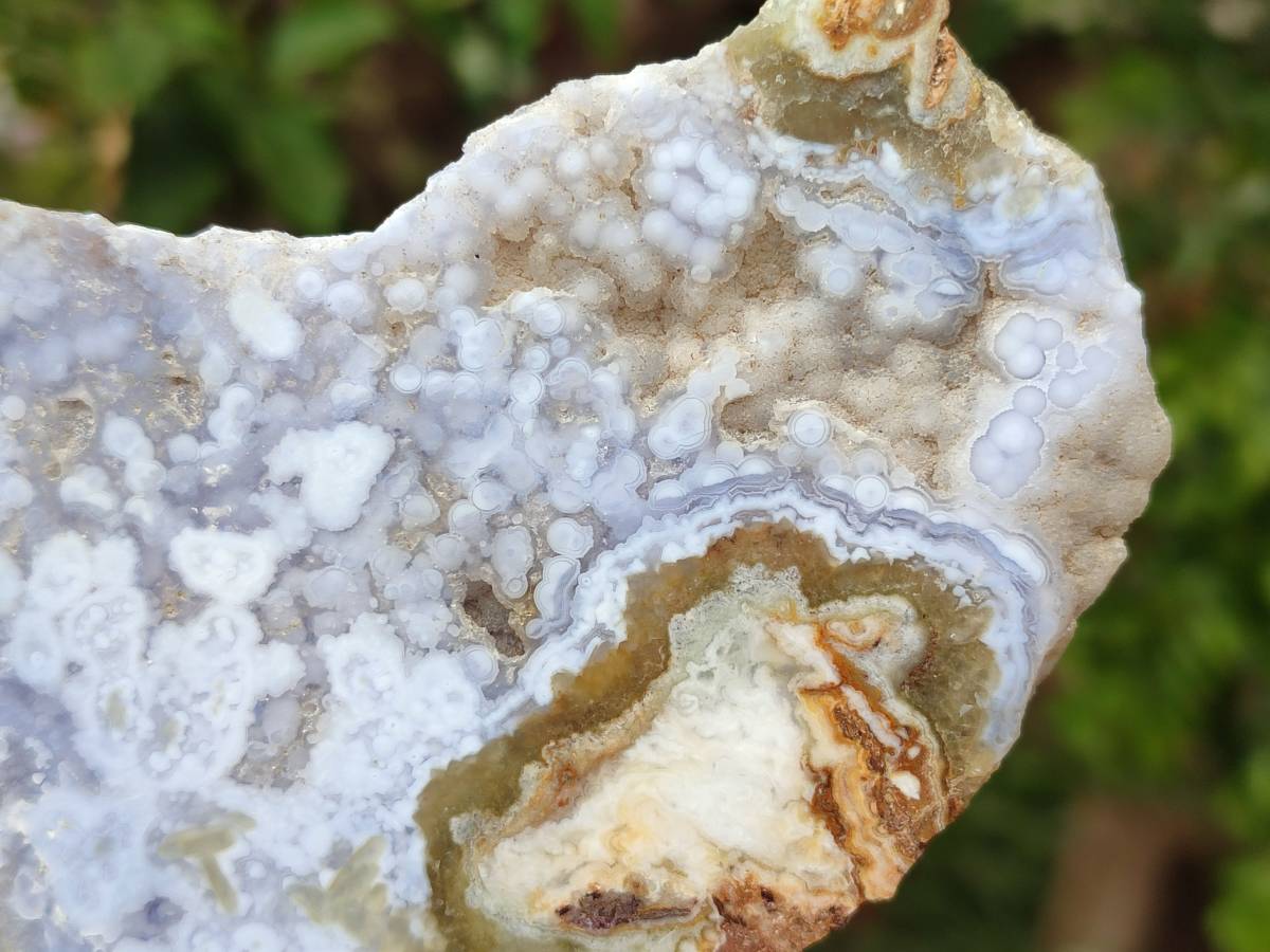 Polished On One Side Blue Lace Agate with Crazy Lace Slices x 4 From Namibia - Toprock Gemstones and Minerals 