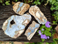 Polished On One Side Blue Lace Agate with Crazy Lace Slices x 4 From Namibia