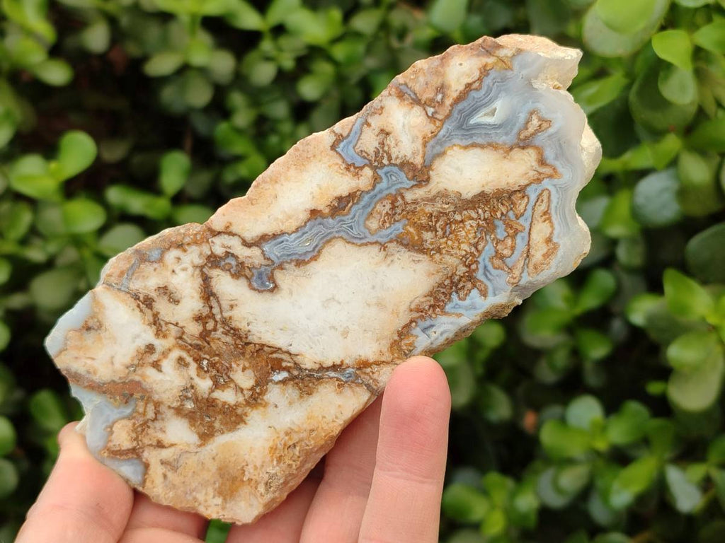 Polished On One Side Blue Lace Agate with Crazy Lace Slices x 4 From Namibia - Toprock Gemstones and Minerals 