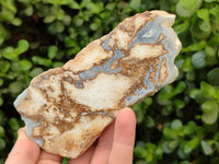 Polished On One Side Blue Lace Agate with Crazy Lace Slices x 4 From Namibia