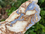 Polished On One Side Blue Lace Agate with Crazy Lace Slices x 4 From Namibia - Toprock Gemstones and Minerals 