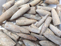 Natural Belemnite Fossils x 2.07 kg Lot, From Maintiarano, Madagascar