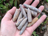 Natural Belemnite Fossils x 2.07 kg Lot, From Maintiarano, Madagascar