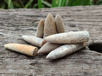 Natural Belemnite Fossils x 2.07 kg Lot, From Maintiarano, Madagascar