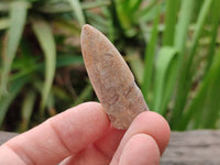 Natural Belemnite Fossils x 2.07 kg Lot, From Maintiarano, Madagascar