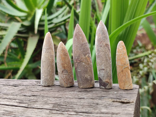 Natural Belemnite Fossils x 2.07 kg Lot, From Maintiarano, Madagascar