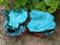 Natural Botryoidal Malacolla Specimens x 6 From Kulukuluku, Congo