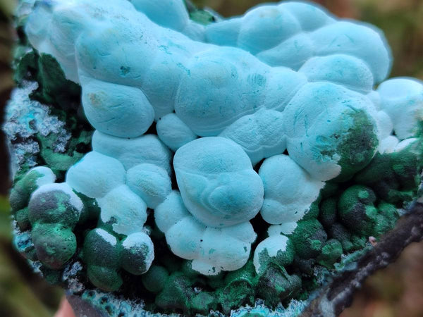 Natural Botryoidal Malacolla Specimens x 6 From Kulukuluku, Congo