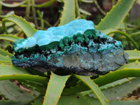 Natural Botryoidal Malacolla Specimens x 6 From Kulukuluku, Congo
