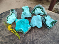 Natural Botryoidal Malacolla Specimens x 6 From Kulukuluku, Congo