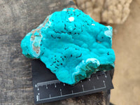 Natural Botryoidal Malacolla Specimens x 6 From Kulukuluku, Congo