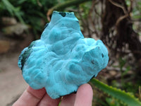 Natural Botryoidal Malacolla Specimens x 6 From Kulukuluku, Congo
