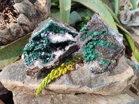 Natural Ball Malachite and Drusy Quartz On Dolomite Matrix Specimens x 2 From Kambove, Congo
