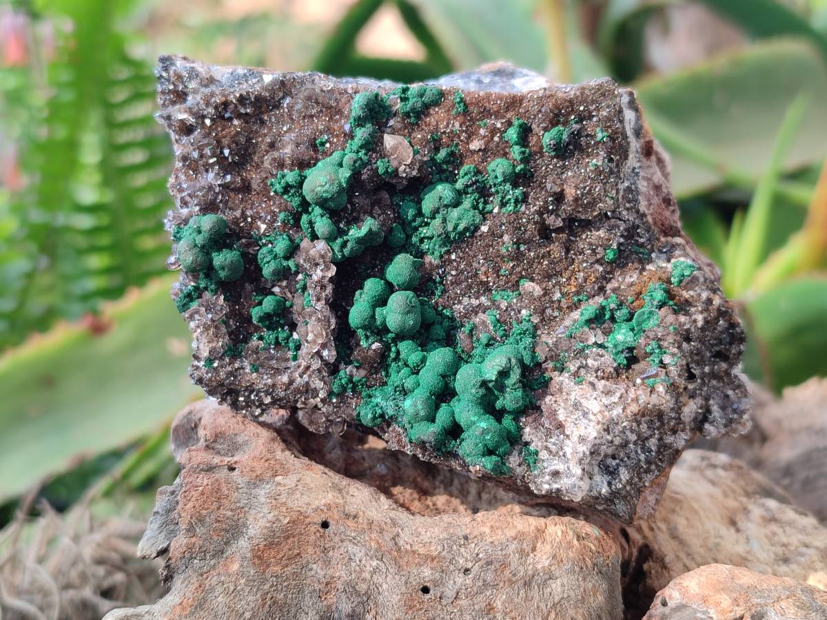 Natural Ball Malachite and Drusy Quartz On Dolomite Matrix Specimens x 2 From Kambove, Congo - Toprock Gemstones and Minerals 