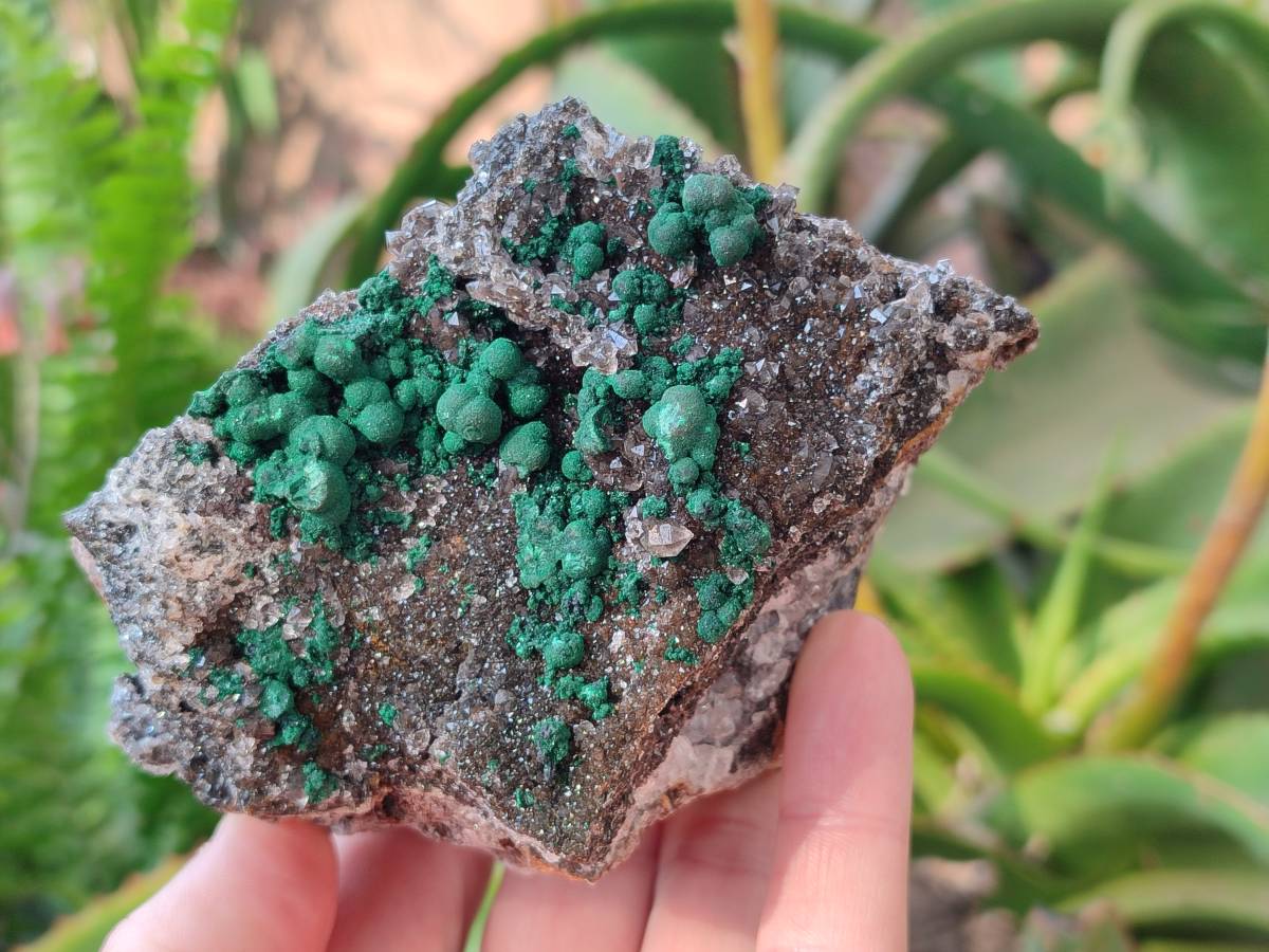 Natural Ball Malachite and Drusy Quartz On Dolomite Matrix Specimens x 2 From Kambove, Congo - Toprock Gemstones and Minerals 