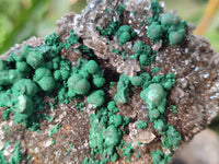 Natural Ball Malachite and Drusy Quartz On Dolomite Matrix Specimens x 2 From Kambove, Congo