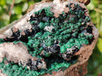 Natural Ball Malachite and Drusy Quartz On Dolomite Matrix Specimens x 2 From Kambove, Congo - Toprock Gemstones and Minerals 