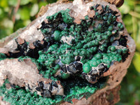 Natural Ball Malachite and Drusy Quartz On Dolomite Matrix Specimens x 2 From Kambove, Congo