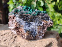 Natural Ball Malachite and Drusy Quartz On Dolomite Matrix Specimens x 2 From Kambove, Congo