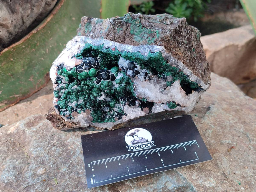 Natural Ball Malachite and Drusy Quartz On Dolomite Matrix Specimens x 2 From Kambove, Congo - Toprock Gemstones and Minerals 