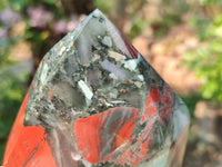 Polished Bloodstone Points x 3 From Swaziland