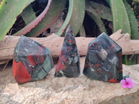 Polished Bloodstone Points x 3 From Swaziland