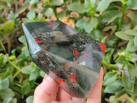 Polished Bloodstone Points x 3 From Swaziland