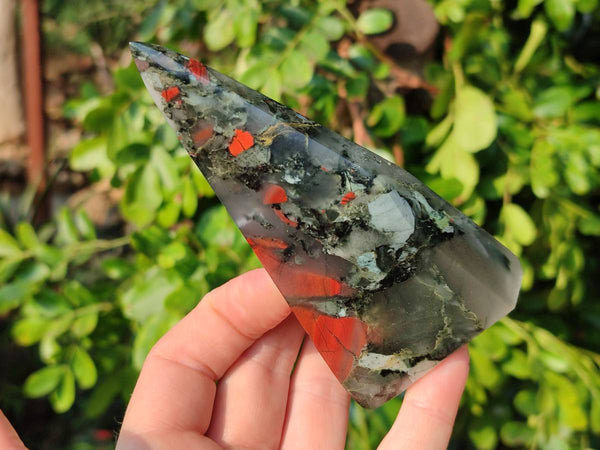Polished Bloodstone Points x 3 From Swaziland