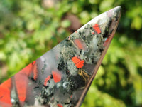 Polished Bloodstone Points x 3 From Swaziland