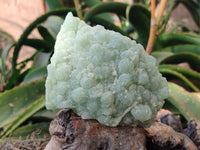 Natural Botryoidal Prehnite Specimens x 3 From Beaufort West, South Africa
