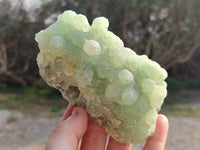 Natural Botryoidal Prehnite Specimens x 3 From Beaufort West, South Africa