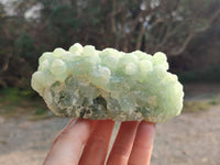 Natural Botryoidal Prehnite Specimens x 3 From Beaufort West, South Africa