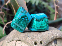 Polished Malacolla Free Forms x 70 From Kalukundi Mine, Congo