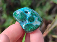 Polished Malacolla Free Forms x 70 From Kalukundi Mine, Congo